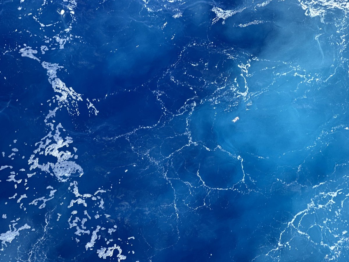 Sonia Cuff tweet media