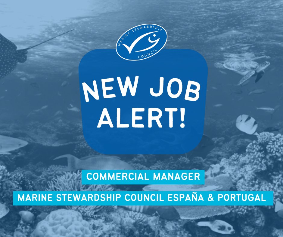 📣 #WeAreHiring | Commercial Manager Spain &amp; Portugal
¡Buscamos un/a Commercial Manager para España y Portugal que quiera impulsar el consumo de productos del mar sostenibles! ➡️  bit.ly/4agbiJo
⏳ Postulaciones hasta el 27 de enero
#PescaSostenible #OfertaTrabajo