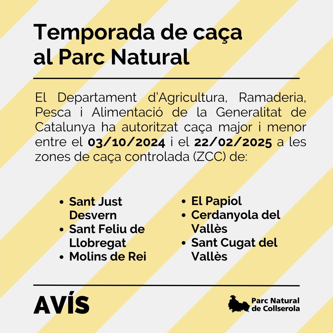 parcncollserola's tweet photo. ⚠️AVÍS, DEMÀ 11/01/25 BATUDA CAÇA MAJOR⚠️
@agriculturacat autoritza #batuda de #caçamajor a la Zona de Caça Controlada (ZCC) de #SantJustDesvern
➡️ Zona Pl. Mireia - Can Baró
🔴 Respecteu la senyalització i eviteu accedir a la zona
🌐 https://t.co/m6c022lzWL
@santjustcat https://t.co/bqswAO4geO