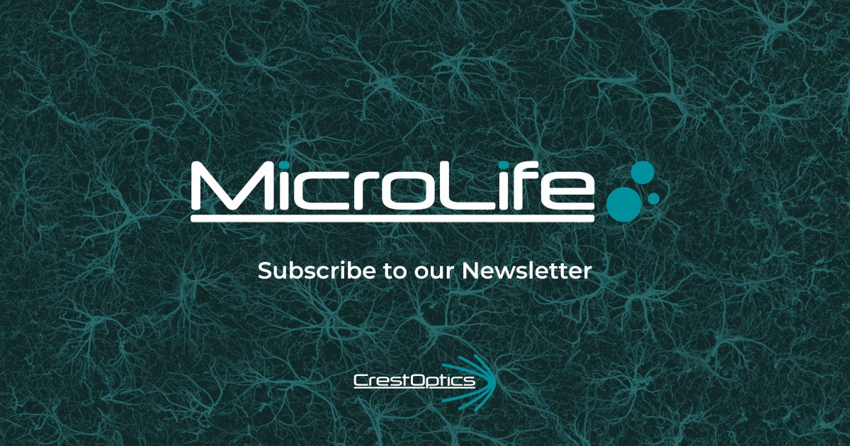 CrestOptics's tweet image. 👉 Stay Ahead with MicroLife! Subscribe now! crestoptics.com/microlife-news…
Join our #MicroLife newsletter for monthly updates on: New app notes &amp;amp; publications | Upcoming events &amp;amp; product highlights | Customer stories &amp;amp; behind-the-scenes insights