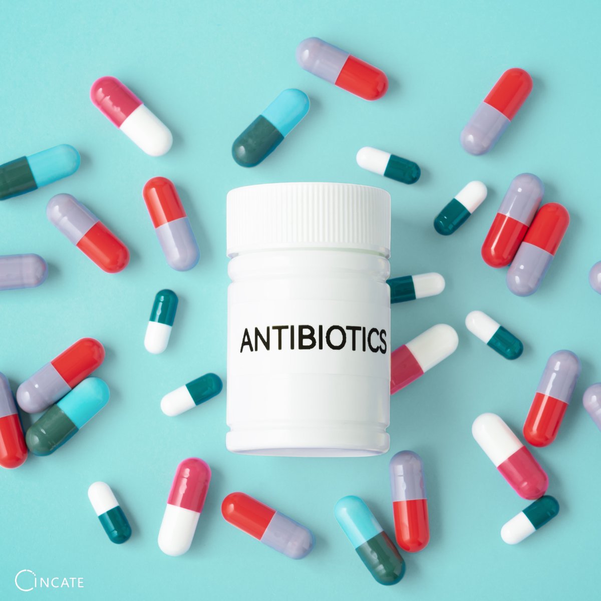 INCATE (@incateurope) on Twitter photo Go Italy!
On Dec 28, 24, the Italian Senate gave final approval to the government’s 2025 budget, introducing measures to support groundbreaking anti-infective treatments.
2025 Budget (in Italian) ➡️ mef.gov.it/export/sites/M…
Thank you John Rex and <a href="/damidefelice/">Damiano de Felice</a> for sharing this! Go Italy!
On Dec 28, 24, the Italian Senate gave final approval to the government’s 2025 budget, introducing measures to support groundbreaking anti-infective treatments.
2025 Budget (in Italian) ➡️ mef.gov.it/export/sites/M…
Thank you John Rex and <a href="/damidefelice/">Damiano de Felice</a> for sharing this!