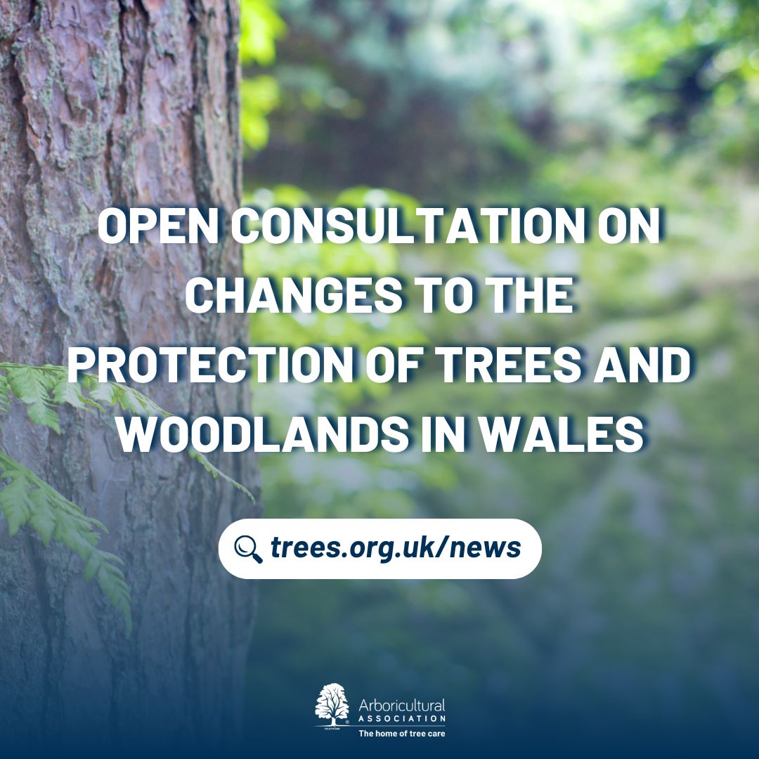 Welsh Government have an open consultation on changes to the protection of trees and woodlands in Wales.

The changes seek to bring the Planning Act 2008 into effect, and to make new regulations, replacing the Town and Country Planning (Trees) Regulations 1999. 

The proposed