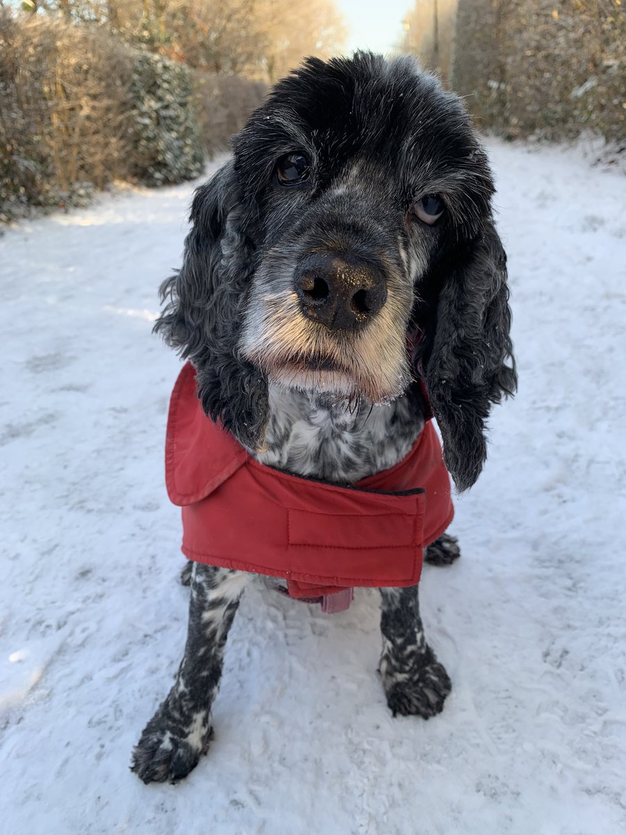 This little lady is 13 years old today 🥳

Show the Birthday girl some love ❤️