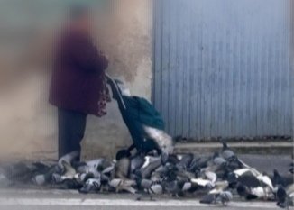 anjovalenti's tweet photo. Identificada una persona alimentadora de #coloms👇🏼
Obrim expedient per incoar sanció d'acord amb l'Ordenança municipal de tinença animals de #Manresa
La infracció serà de fins 300€.
Gràcies a la col.laboració ciutadana i a l'acció dels agents cívics de la Regidoria de #Salut. https://t.co/s3dahYUf4F