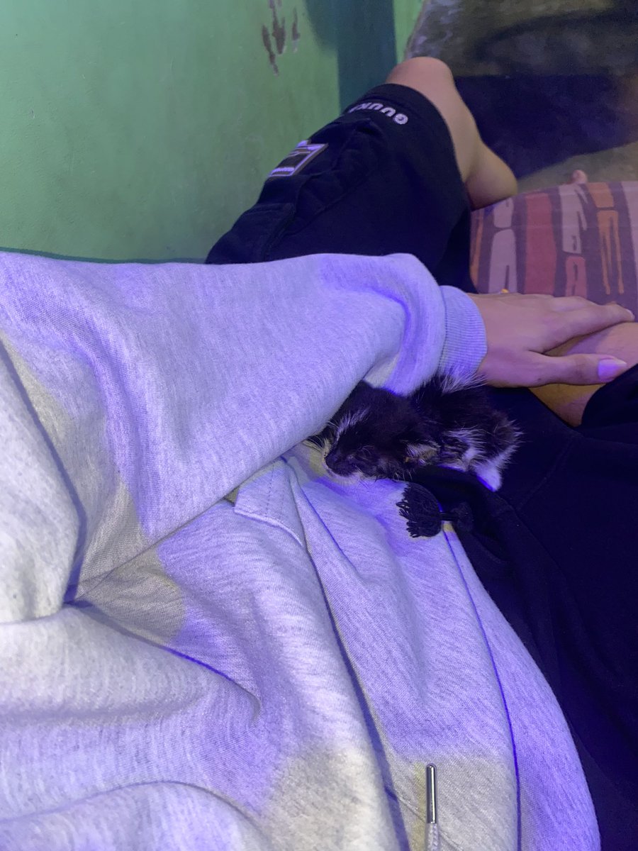 sleep well, mingming