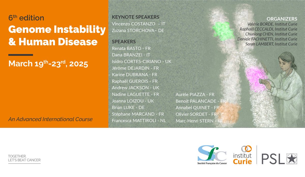Institut Curie (@institut_curie) on Twitter photo 📣 Register now until March 2nd, 2025, for the next Genome Instability and Human Disease international course at <a href="/institut_curie/">Institut Curie</a>! Gain knowledge of mechanisms ensuring genome stability, from fundamental molecular pathways up to large scale approaches.
▶️training.institut-curie.org/courses/genome… 📣 Register now until March 2nd, 2025, for the next Genome Instability and Human Disease international course at <a href="/institut_curie/">Institut Curie</a>! Gain knowledge of mechanisms ensuring genome stability, from fundamental molecular pathways up to large scale approaches.
▶️training.institut-curie.org/courses/genome…