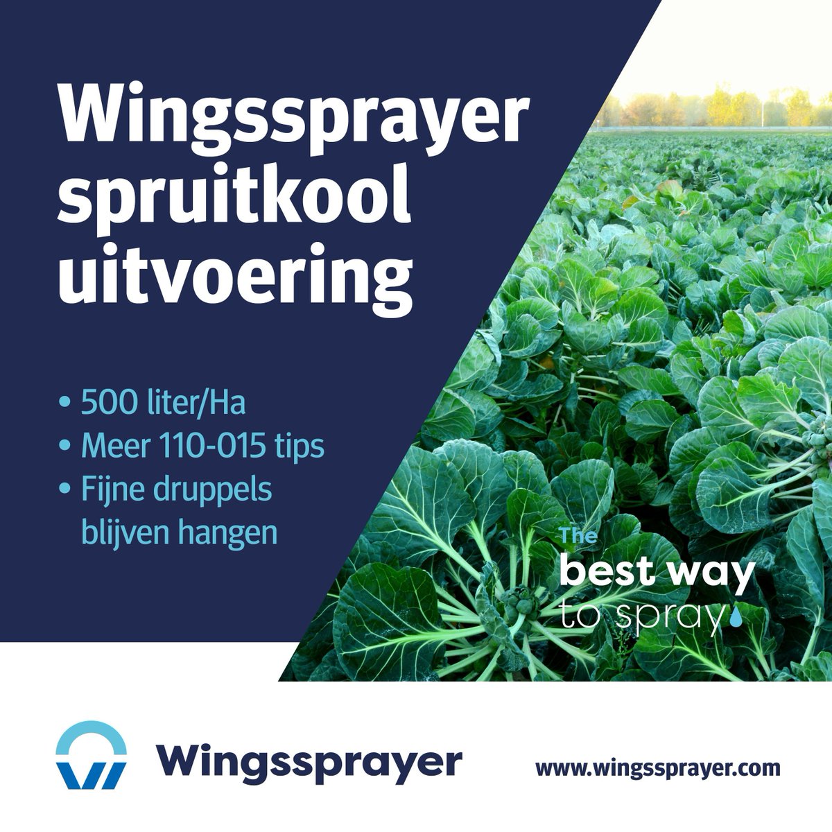 Spruitkool is een zeer lastig te spuiten gewas. Van boven staan de bladeren in een kelkvorm en de onderste dorre of hangende bladeren hangen als een paraplu over de spruitjes. Meer doppen per meter met zeer fijne druppels bedekken meer gewas.

#spuittechniek #innovatie
