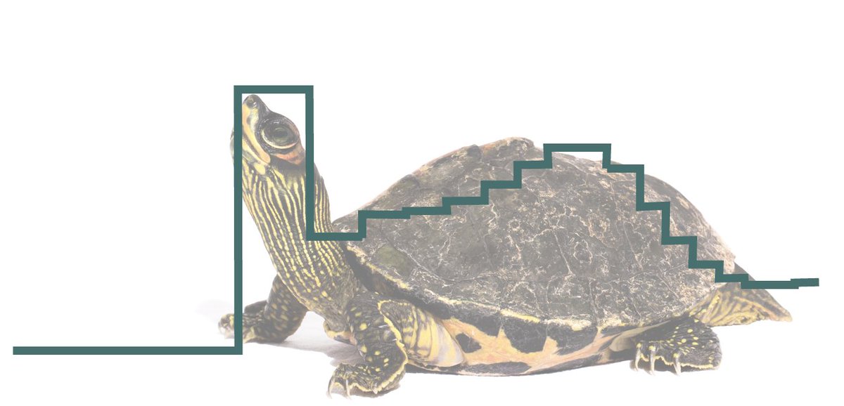 LeonHilgers's tweet image. Thanks so much to everyone @popgroup for one of the best conference experiences I have ever had #Popgroup58 🎉🎊. People, research and general vibe were all just fantastic🙂!
See you soon and avoid the turtle peak😉!