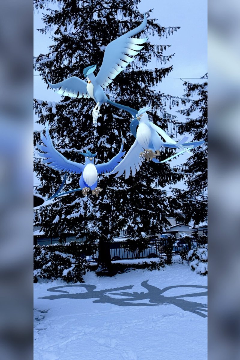 EringiPokego's tweet photo. こごえるせかい❄︎.*❄️*

#ポケモンGO #GOSnapshot 
#ARofTheDay #銀世界AR2025 
#GOsnapshotCelebration 
((寒すぎ🥱)) https://t.co/8DF4JqKygB