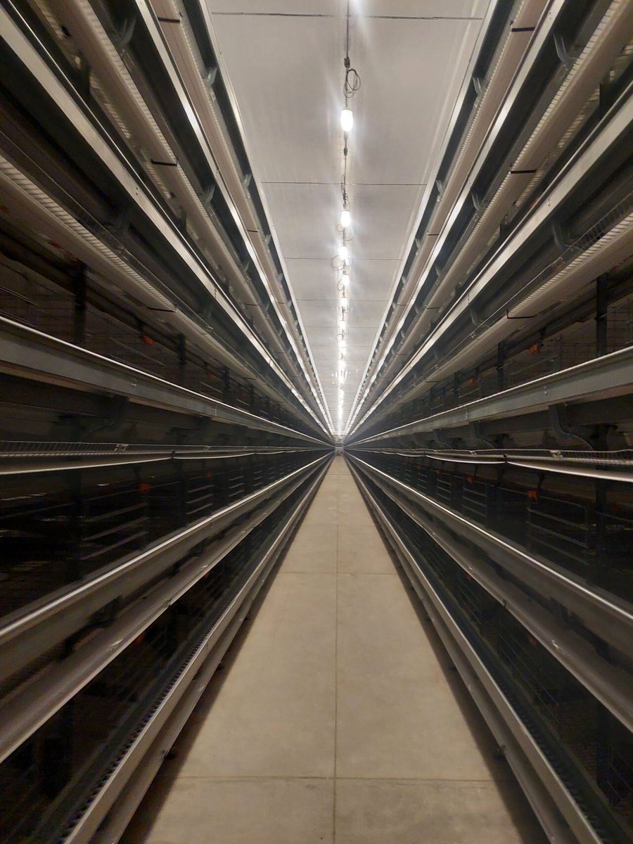 HATO Agricultural Lighting tweet media