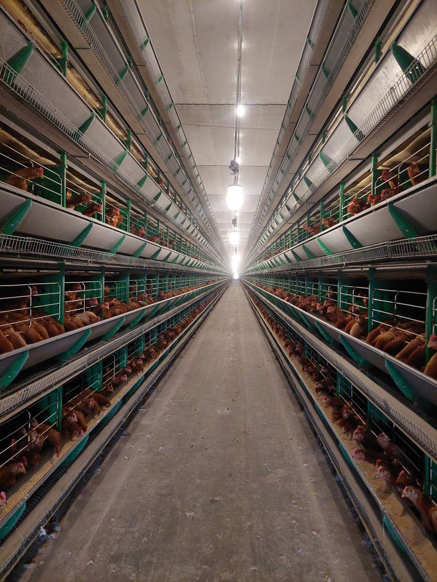 HATO Agricultural Lighting tweet media