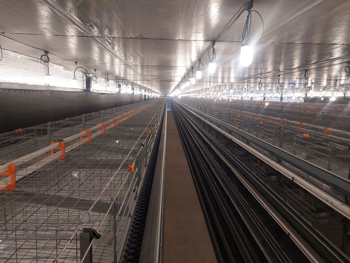 HATO Agricultural Lighting tweet media