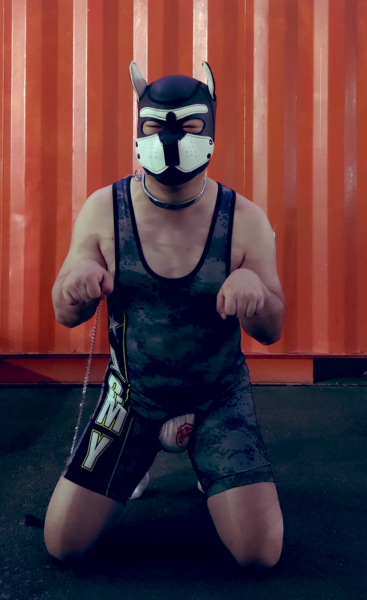 两张古早的狗头户外