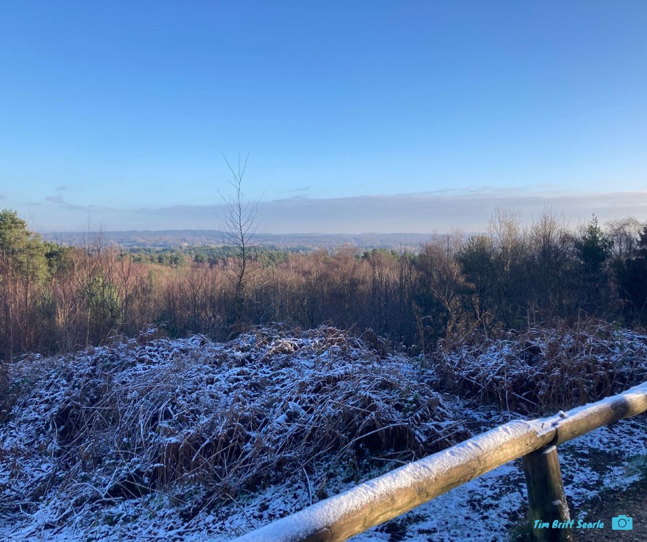 Thames Basin Heaths Partnership (@tbhpartnership) on Twitter photo In wintry weather like this, standing up at the High Curley viewpoint at Lightwater Country Park in #Surrey can feel like standing among the clouds!
Thank you to Warden Tim for capturing this beautiful icy photo.
#ThamesBasinHeaths #Winter <a href="/Surreyheath/">Surrey Heath Borough Council</a> <a href="/ExploreSurreyUK/">Explore Surrey's Countryside</a> In wintry weather like this, standing up at the High Curley viewpoint at Lightwater Country Park in #Surrey can feel like standing among the clouds!
Thank you to Warden Tim for capturing this beautiful icy photo.
#ThamesBasinHeaths #Winter <a href="/Surreyheath/">Surrey Heath Borough Council</a> <a href="/ExploreSurreyUK/">Explore Surrey's Countryside</a>