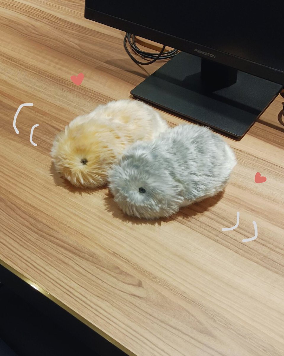 CASIO で飼い始めた 2匹の #Moflin の名前が 『おもち』と『もなか