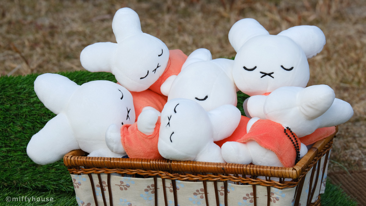 すやすやフレンド ミッフィー　miffy ナインチェ