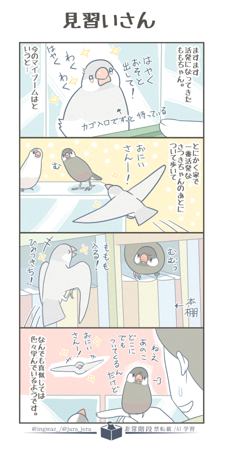 見習いさん

#漫画が読めるハッシュタグ #Buncho #文鳥 