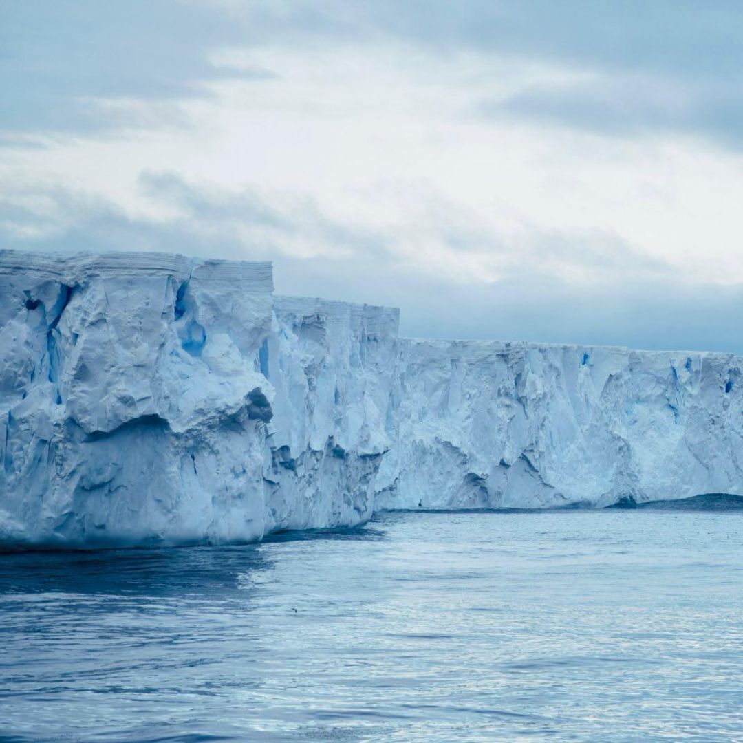 ⚠️NEW EPISODE⚠️

We join The Professor &amp; Dr Thom live from Antarctica for this month's episode of The Deep-Sea Podcast.

Find out about the deep waters of Antarctica in under 30 mins in our to-the-point version of our latest episode.

Listen:bit.ly/4fIcB4P

📸Inkfish/UWA