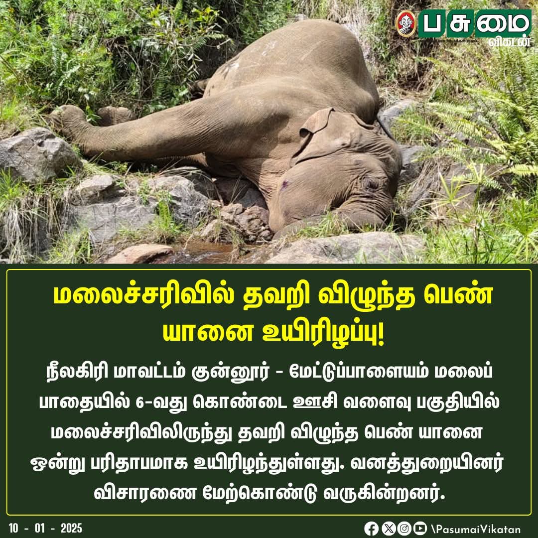 KovaiRaj4's tweet photo. கோவையில் தொடர்கதையாகும் யானைகளின் பரிதாப மரணங்கள்.
கனிமவளக்கொள்ளையர்களிடம்
இருந்து யானைவழித்தடங்களை எப்போது மீட்டெடுக்கப் போகிறீர்கள்?
#Coimbatore
#Elephant
#elephantpath
#மேற்குத்தொடர்ச்சிமலை https://t.co/XOi32hUL9H