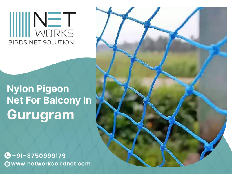 networksbirdnet's tweet image. Nylon Pigeon Net for Balcony in Gurgaon – Networks Bird Net
Contact Networks Bird Net for Nylon pigeon net installation in Gurgaon today.
Visit Now:cutt.ly/Se2bH07i
#PigeonNet #BalconyProtection #Gurgaon #BirdNet #TrendingNow