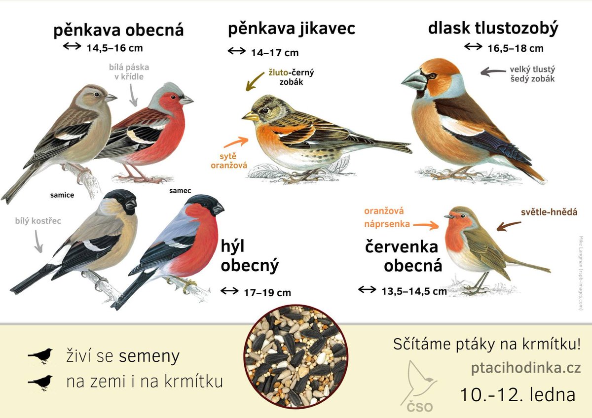 🐦 Ptačí hodinka - sedmý ročník sčítání ptáků (nejen) na krmítku je v plném proudu! Pojďme se podívat na některé červené a oranžové ptačí druhy.👇

🌐 Další materiály a info, jak se zúčastnit, najdete na ptacihodinka.cz

🗓️ Sčítáme až do neděle. 

Těšíme se na výsledky!