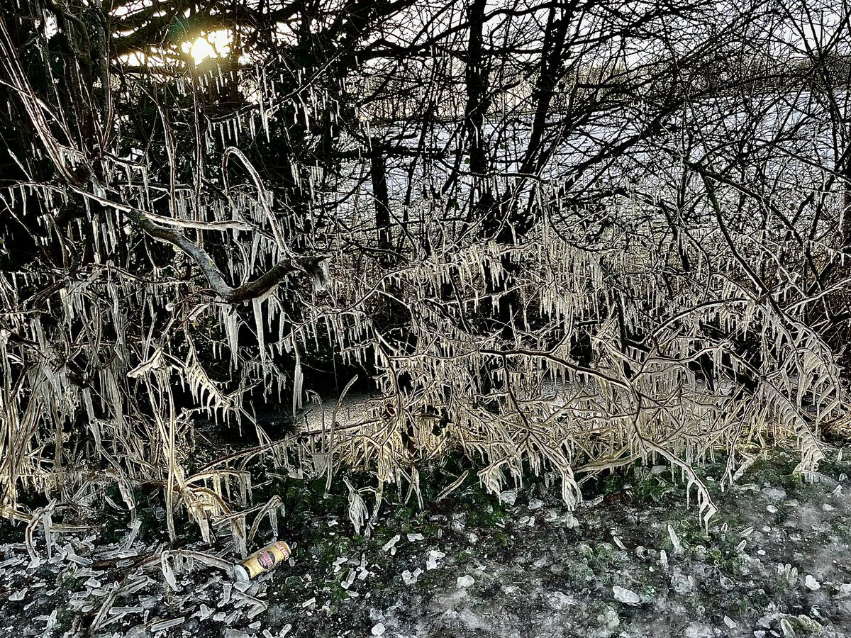 Amazing icicle tree at Ryhill <a href="/WkfdOfficial/">Wakefield Official News</a> <a href="/WakeExpress/">Wakefield Express</a> <a href="/PandCExpress/">Pont & Cas Express</a> <a href="/HSEExpress/">Hemsworth Express</a> <a href="/Hudsonweather/">Paul Hudson</a> <a href="/KeeleyDonovan/">Keeley Donovan</a> <a href="/EmmanuelleLhoni/">Emmanuelle Lhoni</a>