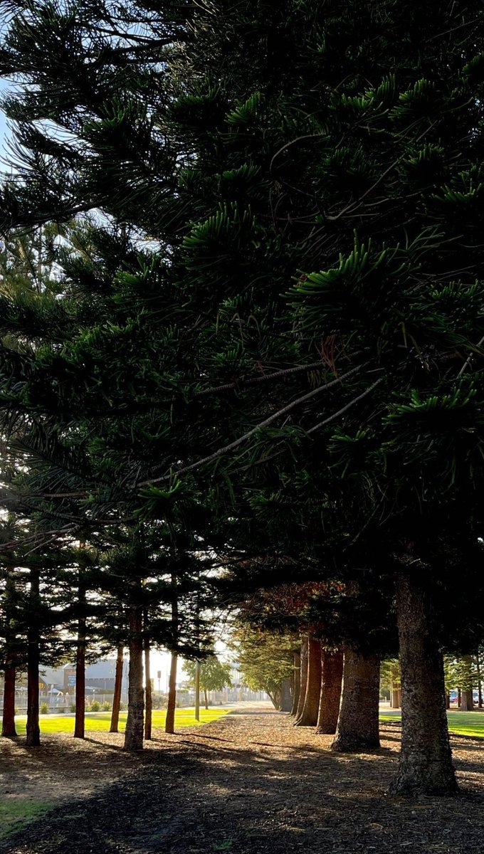 ShineFiony's tweet photo. One with the Nature 
#PIOtography #PIOstory https://t.co/xooIHgJ8Uk