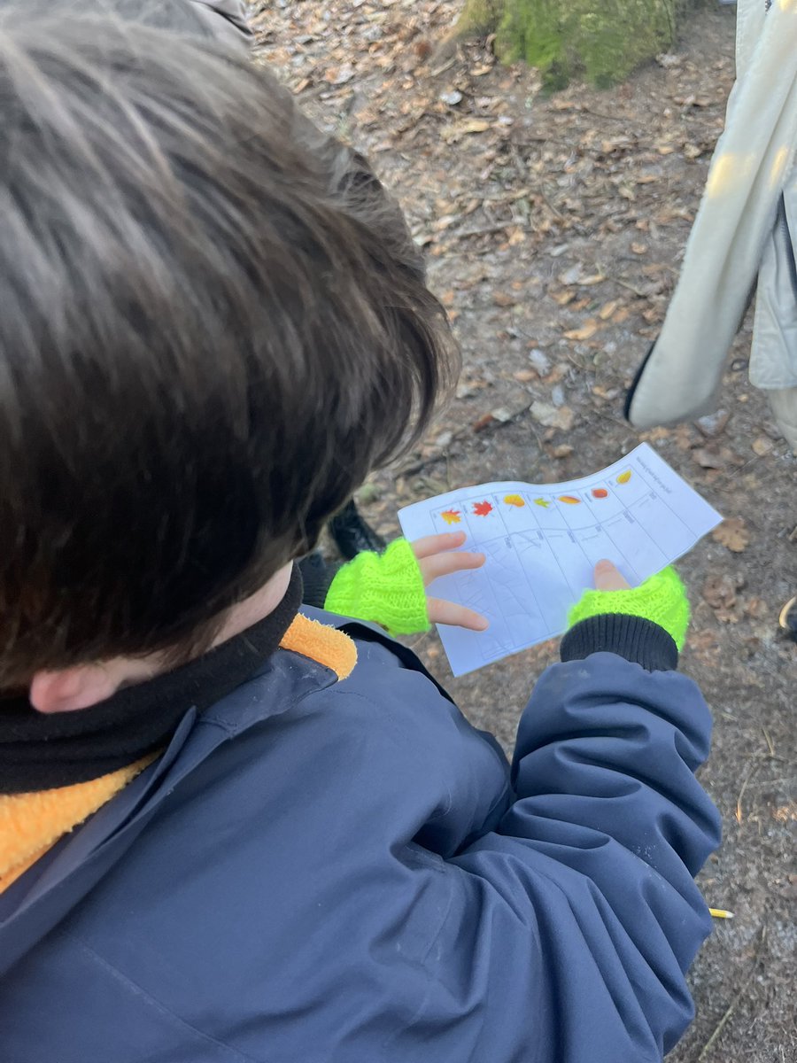 Chilly afternoon yesterday at the glen using tally marks and our numeracy skills to count specific types of leaves 🍁