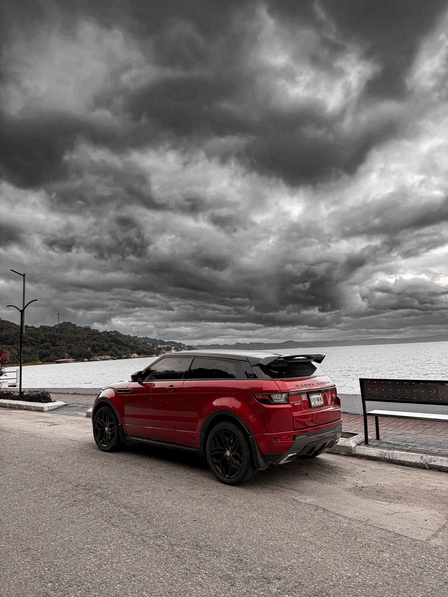 allanetp's tweet image. Petenlandia!! 😍