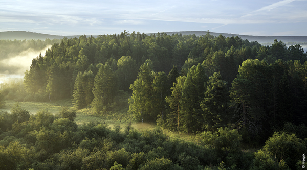 Agir Pour Le Climat tweet media