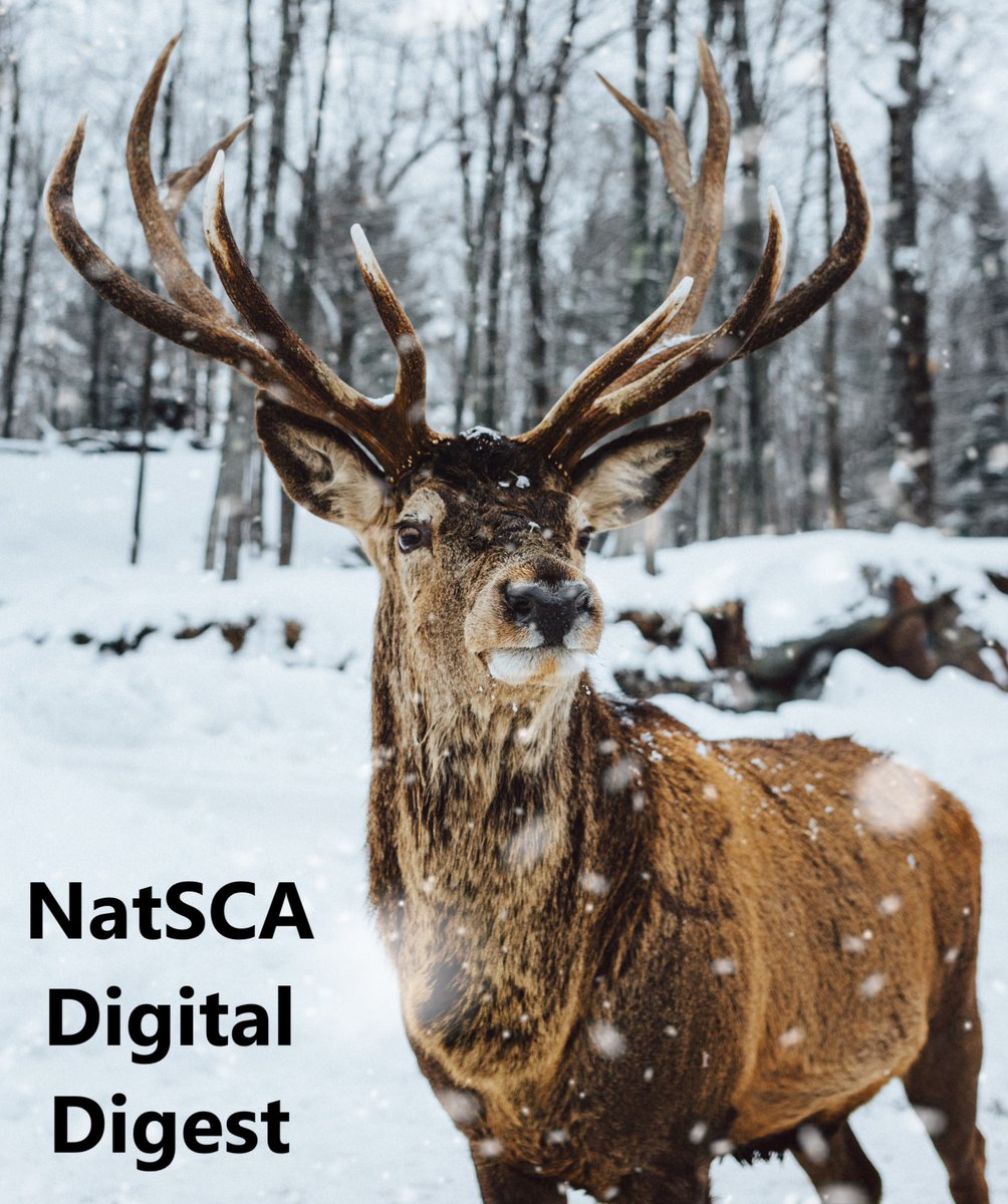 Lots of lovely things to be getting on with in January, check out this month's edition of Digital Digest wp.me/p2FTB9-2fq