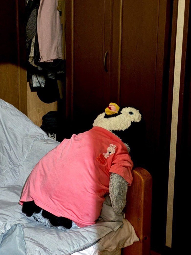 落ち込むぬいぐるみ (@depressed_nui) on Twitter photo 