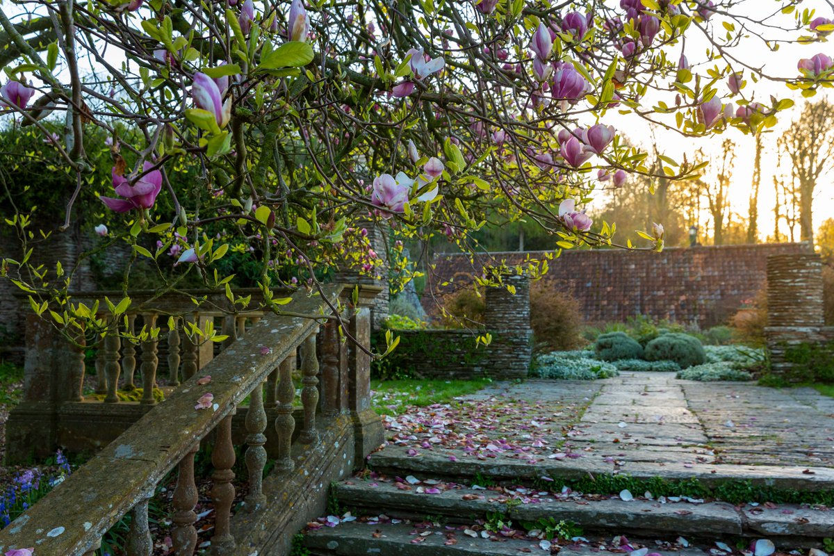 Hestercombe Gardens tweet media