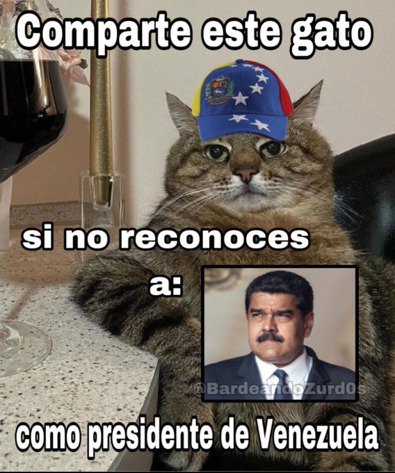 ConlytManuel's tweet photo. Hoy es el día para Venezuela. Mucha fuerza desde España a todos los venezolanos de bien que apoyan a María Corina y a Edmundo González o incluso odian el socialismo. https://t.co/W6uj69HxxN