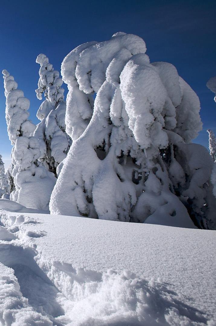 Boot traces on new snow in Lapland, Finland  🇫🇮