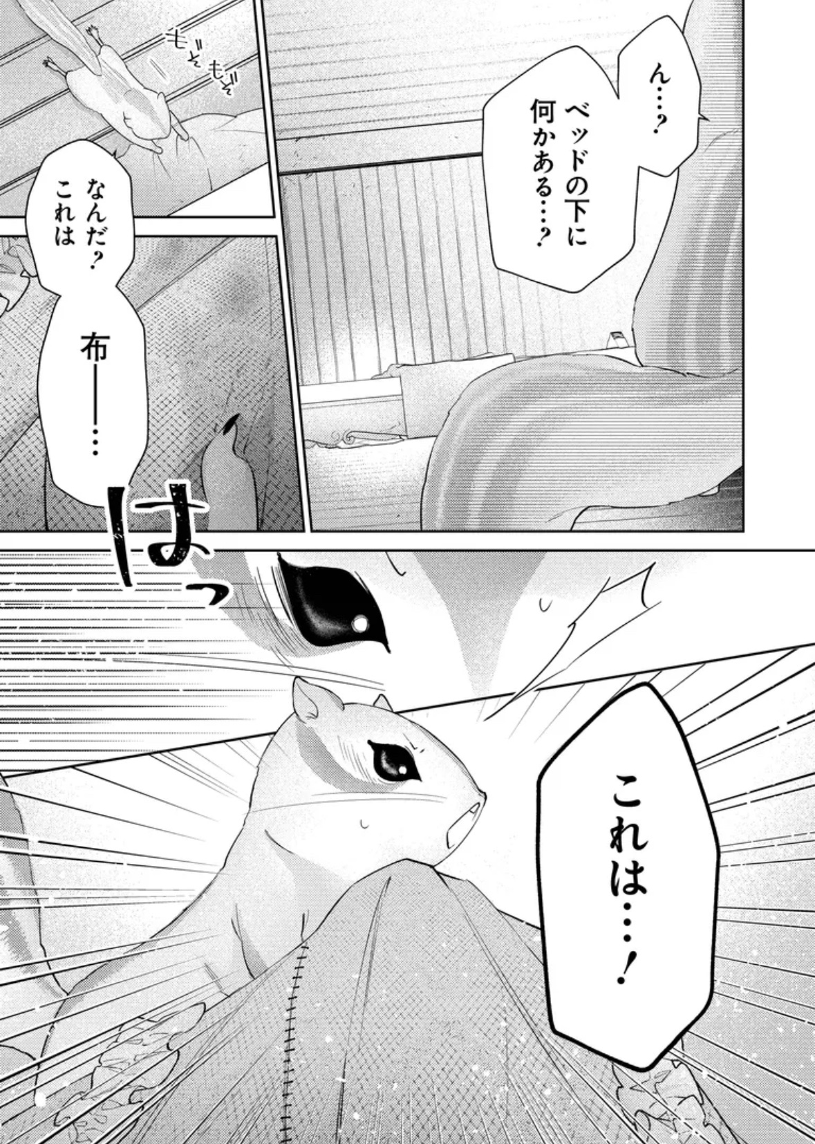 Amazon.co.jp: リスになってしまった婚約者が、毛嫌いしていた