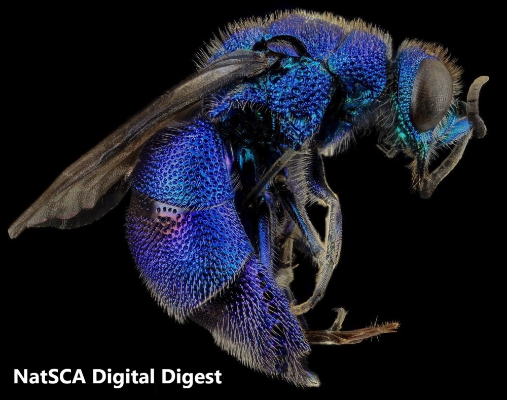 Got the January blues and looking for inspiration this month? Check out the new edition of Digital Digest! wp.me/p2FTB9-2fq