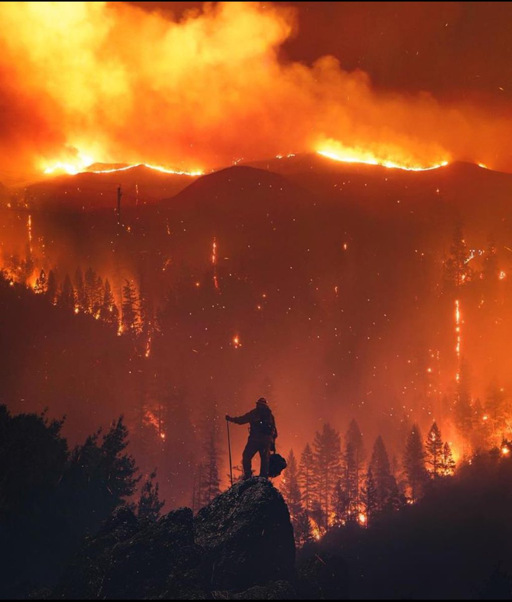 Massive Scale: In just a few days, wildfires in Los Angeles County have scorched approximately 29,000 acres—equivalent to double the size of Manhattan or 22,000 football fields.
