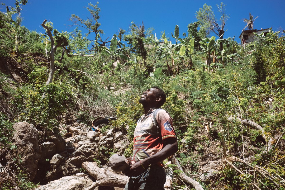 Louis Witter (@louiswitter) on Twitter photo À Mayotte, « nous ne reverrons les prochains fruits que dans un an ».
Chido a ravagé les plantations, et c’est la perte d’une source importante de nourriture du quotidien pour les populations les plus pauvres.
Reportage, pour <a href="/Lesjoursfr/">Les Jours</a>
(abonnez-vous)
lesjours.fr/obsessions/may… À Mayotte, « nous ne reverrons les prochains fruits que dans un an ».
Chido a ravagé les plantations, et c’est la perte d’une source importante de nourriture du quotidien pour les populations les plus pauvres.
Reportage, pour <a href="/Lesjoursfr/">Les Jours</a>
(abonnez-vous)
lesjours.fr/obsessions/may…