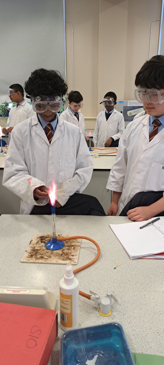 MissHarris tweet media