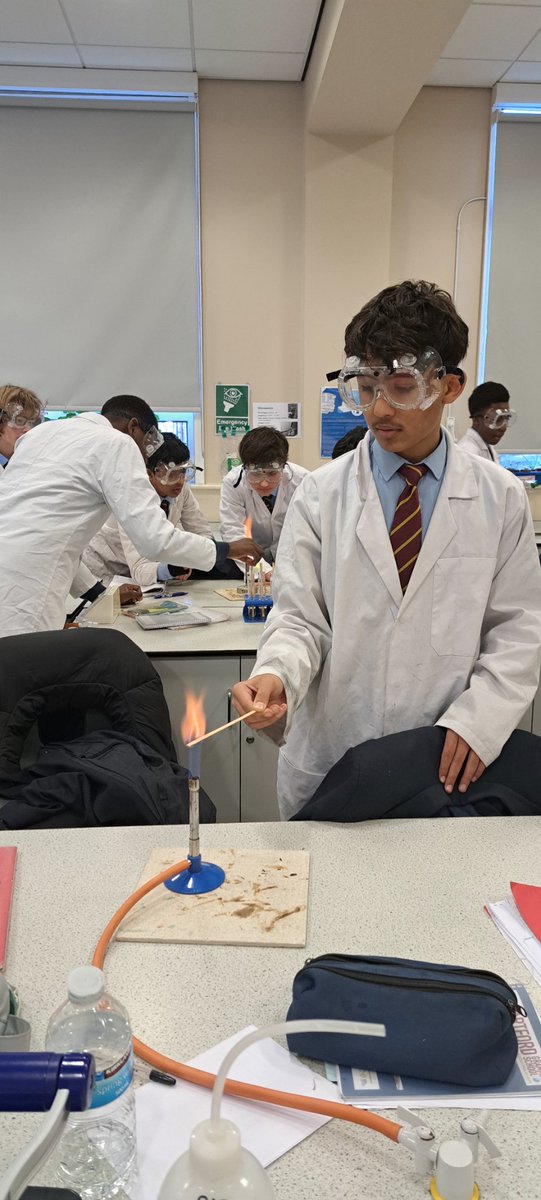 MissHarris tweet media