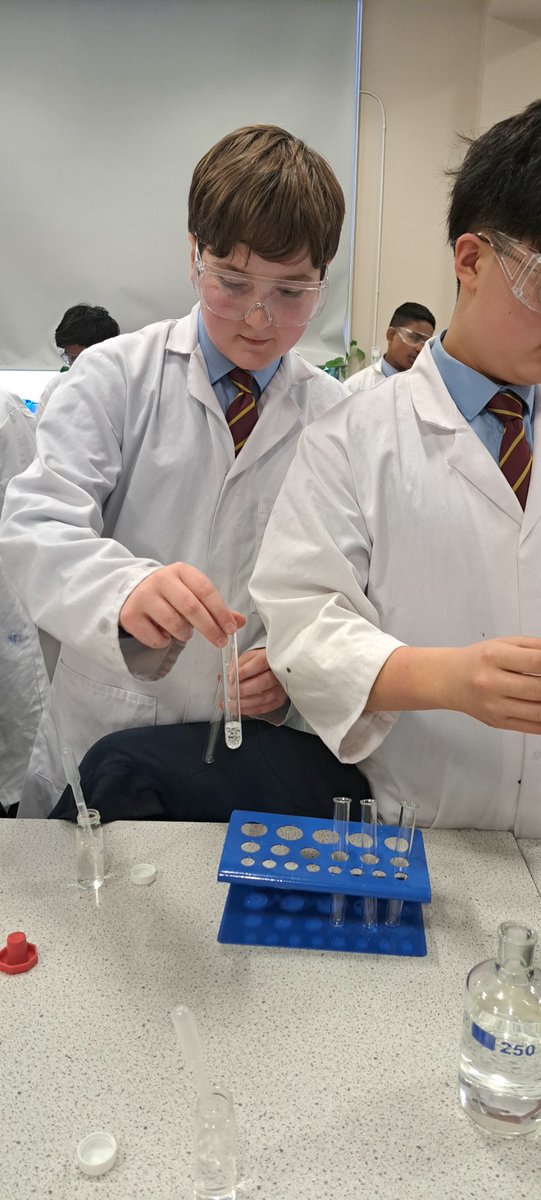 MissHarris tweet media