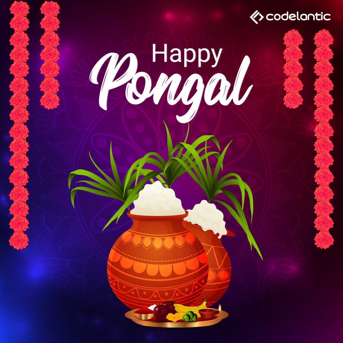 CodeLantic's tweet image. May the festival of Pongal bring lots of happiness and a bright future.
Happy Pongal!
#pongal