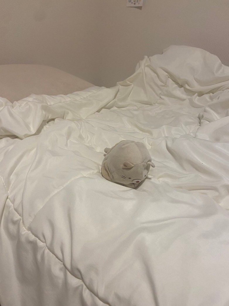 落ち込むぬいぐるみ (@depressed_nui) on Twitter photo 