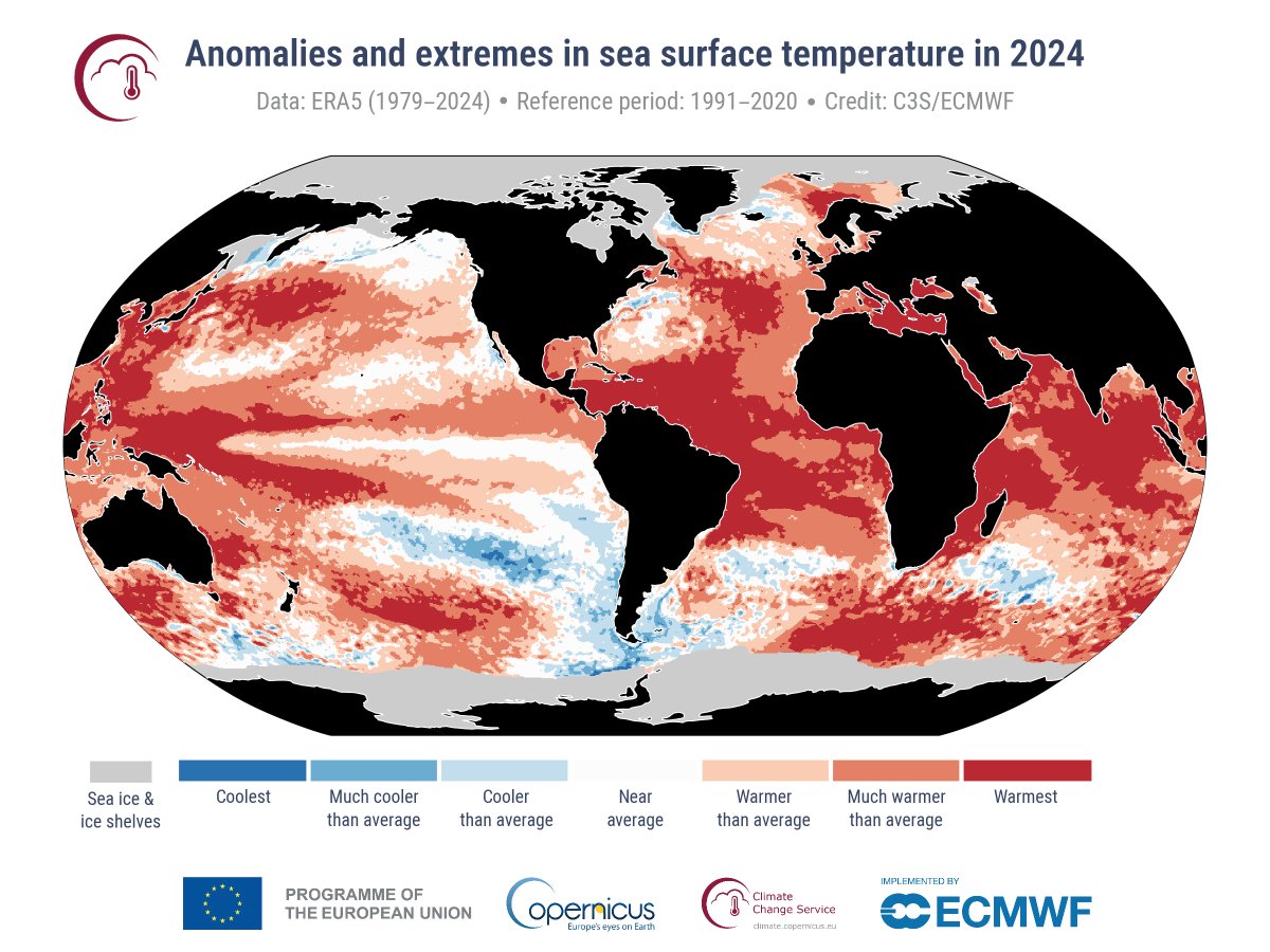 ExtremeMeteo's tweet photo. BILAN THERMIQUE DE 2024 A L'ECHELLE GLOBALE :

C'est l'heure des bilans avec donc confirmation que l'année 2024 a été la plus chaude depuis le début des relevés. Elle se situe devant l'année 2023 avec un écart de +0,12°C.

Elle est à +0,72°C par rapport à la moyenne 1991-2020.

Et on dépasse la barre des +1,5°C par rapport à l'époque pré-industrielle en atteignant +1,6°C (période de référence 1850-1900).

On note que l'année 2024 aura été aussi la plus chaude en Europe depuis le début des relevés. 

Année record aussi pour la température des mers et océans avec une température de 20,87 °C, soit 0,51 °C au-dessus de la moyenne de 1991-2020.

Plus de détails sur https://t.co/xlmobmNBqa

et 

https://t.co/FMsrKmJQ6a