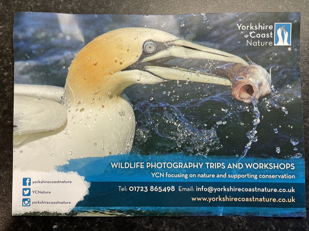 Melvyn Prior (@melvynprior) on Twitter photo Great talk and amazing photos <a href="/wildlifeimages/">Steve Race</a> Steve Race last night <a href="/Natures_Voice/">RSPB</a> #RSPB #Lincoln group. Inspired for my next visit to <a href="/Bempton_Cliffs/">RSPB Bempton Cliffs</a> Don’t think I’ll be sitting in puddles though! #Wildlife #Nature #Birds <a href="/YCNature/">YorkshireCoastNature</a> Great talk and amazing photos <a href="/wildlifeimages/">Steve Race</a> Steve Race last night <a href="/Natures_Voice/">RSPB</a> #RSPB #Lincoln group. Inspired for my next visit to <a href="/Bempton_Cliffs/">RSPB Bempton Cliffs</a> Don’t think I’ll be sitting in puddles though! #Wildlife #Nature #Birds <a href="/YCNature/">YorkshireCoastNature</a>