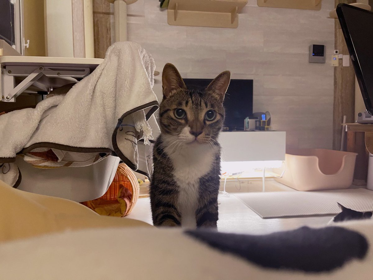 음.. 자리 있나오?