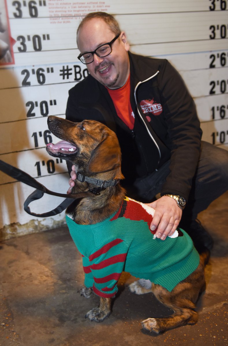 It’s Dress Up Your Dog Day at the True Crime Museum!
Today, bring your furry friend dressed in their best costume and enjoy a howl of a good time! 
One dog owner gets FREE admission for every dog in costume!
See you and your fur baby today at the True Crime Museum!