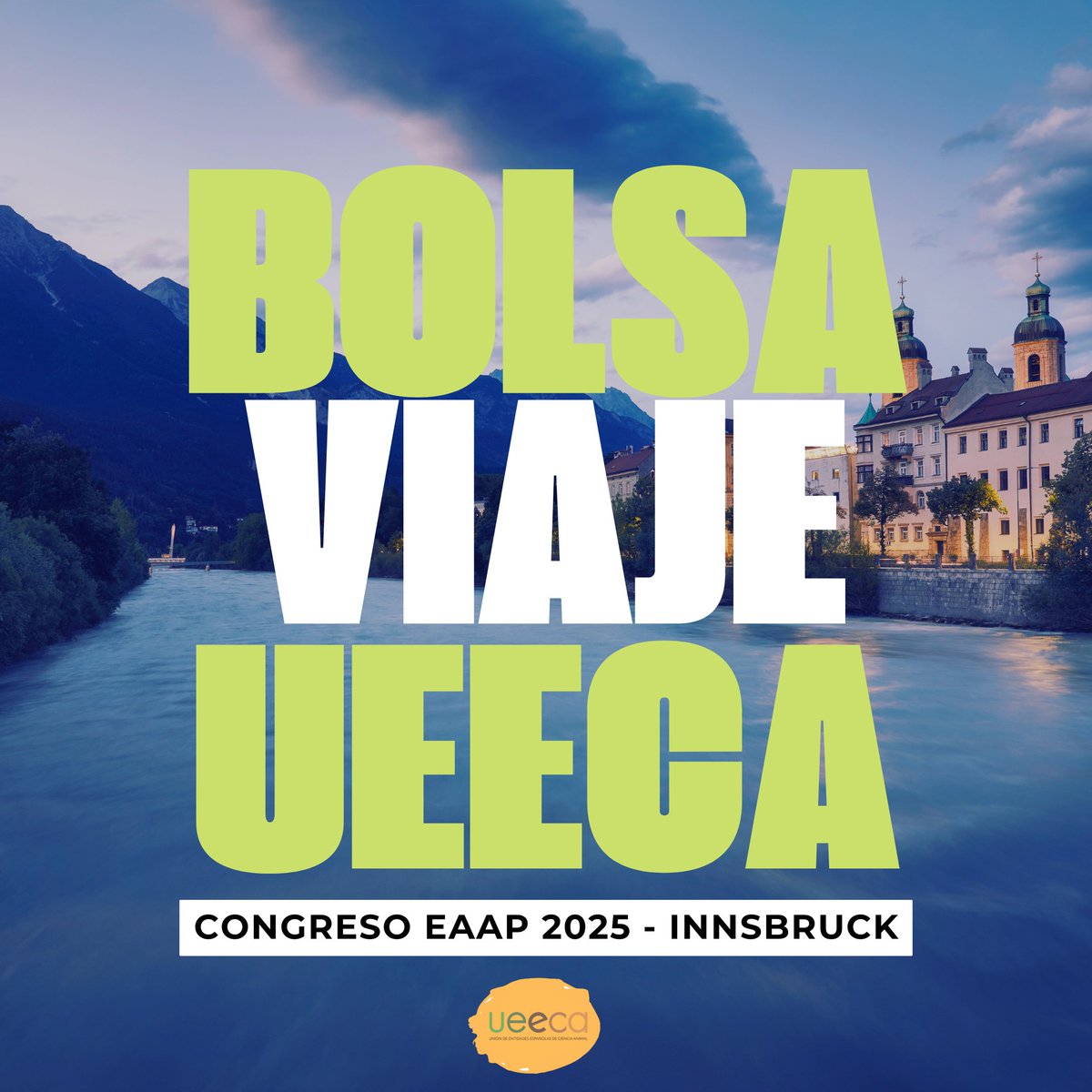 UEECA (@ueeca_) on Twitter photo 📢 ¡Convocatoria abierta! La UEECA ofrece 5 bolsas de viaje🧳 para estudiantes de doctorado y postdocs en sus 2 primeros años.
📍 Congreso <a href="/EAAPofficial/">EAAPofficial</a> 2025
🗓️ Innsbruck, Austria
📅 Fecha límite: 16 febrero 2025
🔗 Info y requisitos 👉 ueeca.es/convocatoria-5… 📢 ¡Convocatoria abierta! La UEECA ofrece 5 bolsas de viaje🧳 para estudiantes de doctorado y postdocs en sus 2 primeros años.
📍 Congreso <a href="/EAAPofficial/">EAAPofficial</a> 2025
🗓️ Innsbruck, Austria
📅 Fecha límite: 16 febrero 2025
🔗 Info y requisitos 👉 ueeca.es/convocatoria-5…