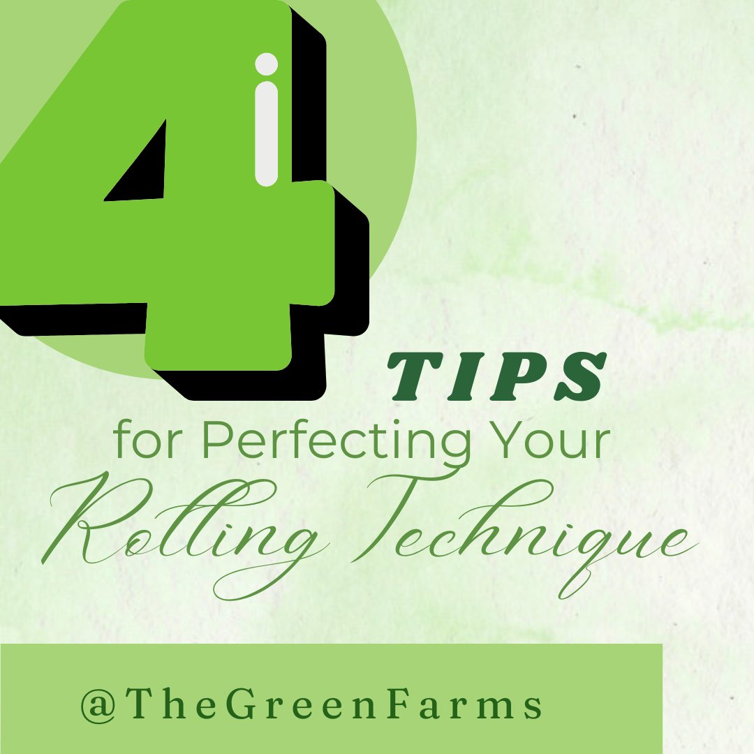 the_green_farms's tweet image. Got a favorite rolling tip or hack? Share it with us in the comments!
#thegreenfarms #canadawideshipping #BCfarms #weedlovers #cannabisclub #cannabisindustry #cannabiscommunity #cannabisculture #weed #weedmob #420friendly #stonerfam #420fam #ouieed #Mmemberville